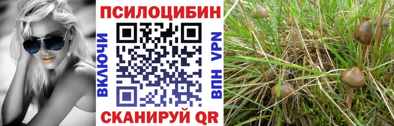 Галлюциногенные грибы Psilocybine cubensis Камышин