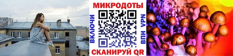 Псилоцибиновые грибы ЛСД Камышин