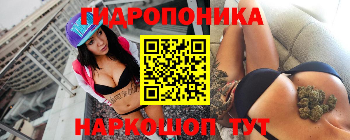 Меф Камышин